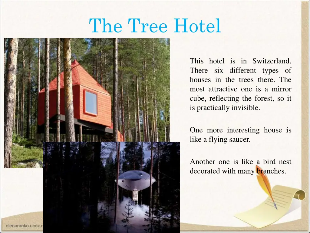 the tree hotel