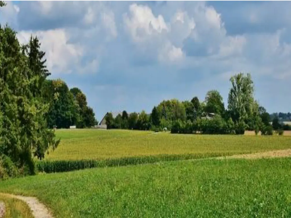 rural pic here