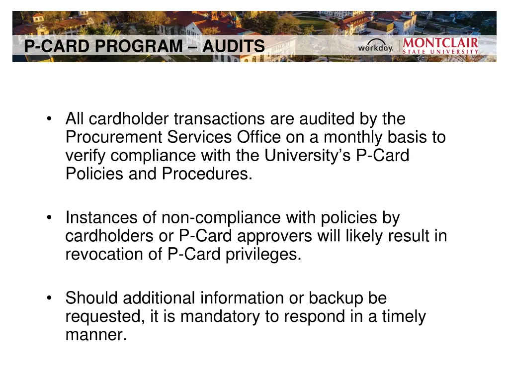 p card program audits