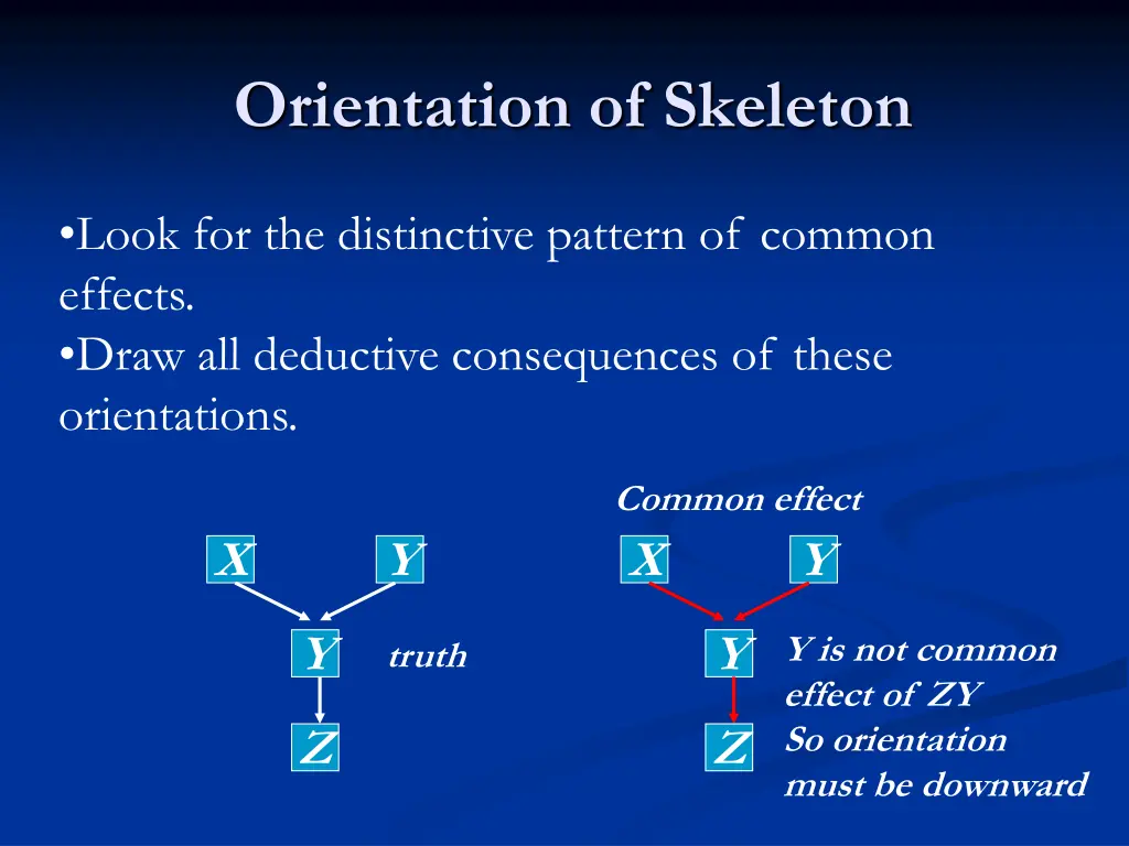 orientation of skeleton 1