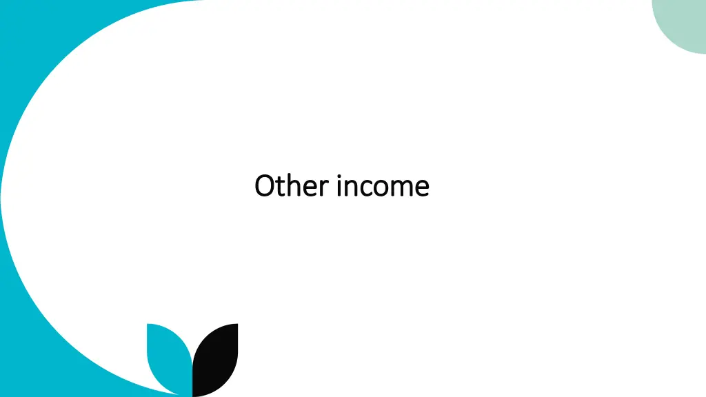 other income other income