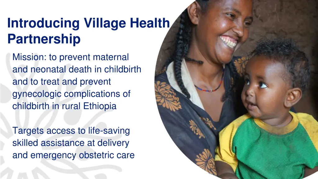 introducing village health partnership