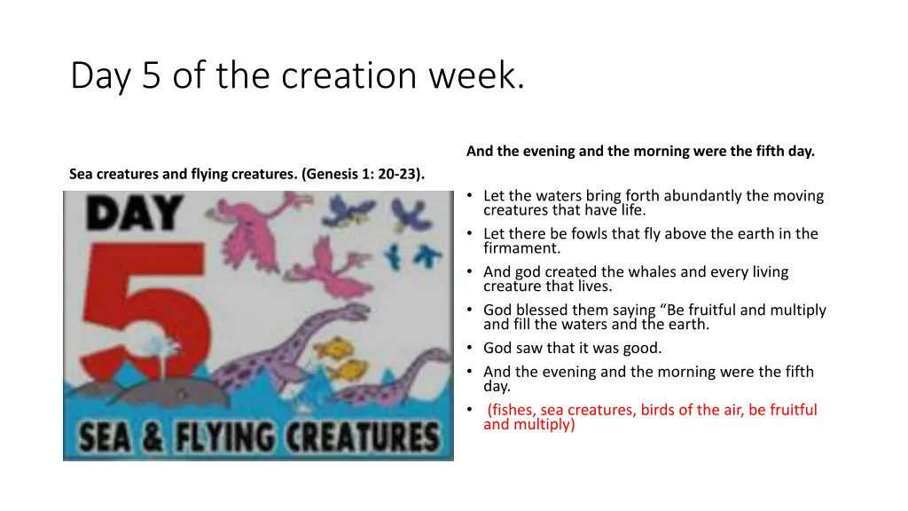 day 5 of the creation week