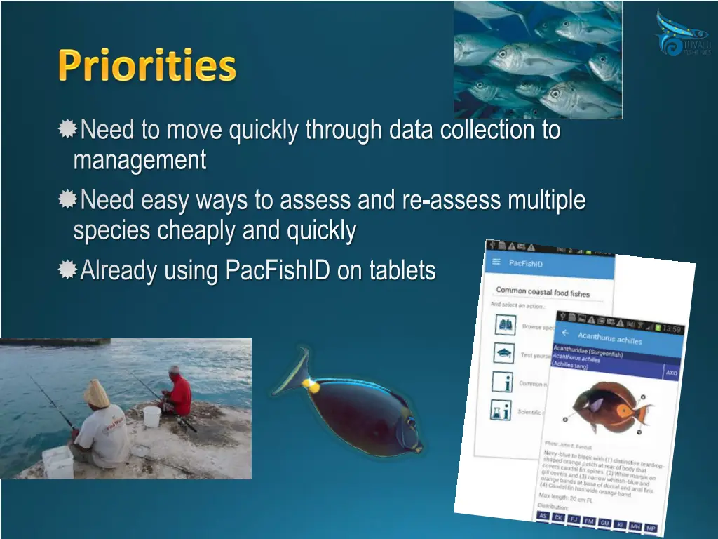 need to move quickly through data collection