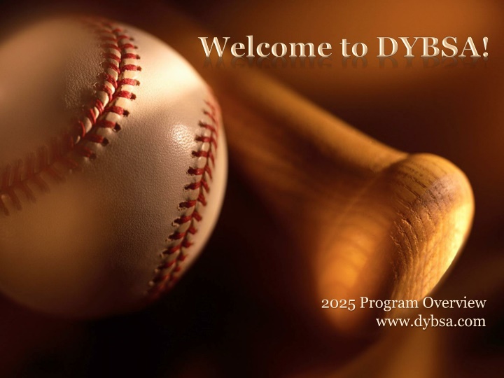 2025 program overview www dybsa com