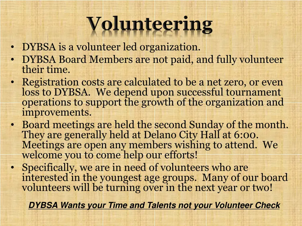 dybsa is a volunteer led organization dybsa board