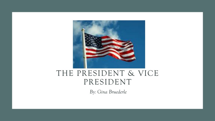 the president vice president by gina bruederle