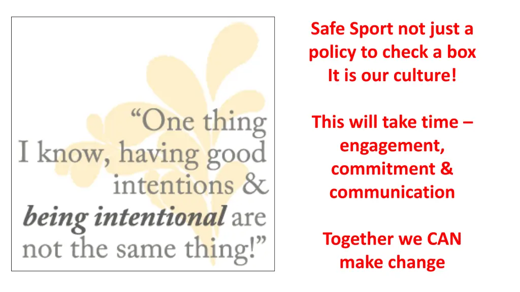 safe sport not just a policy to check