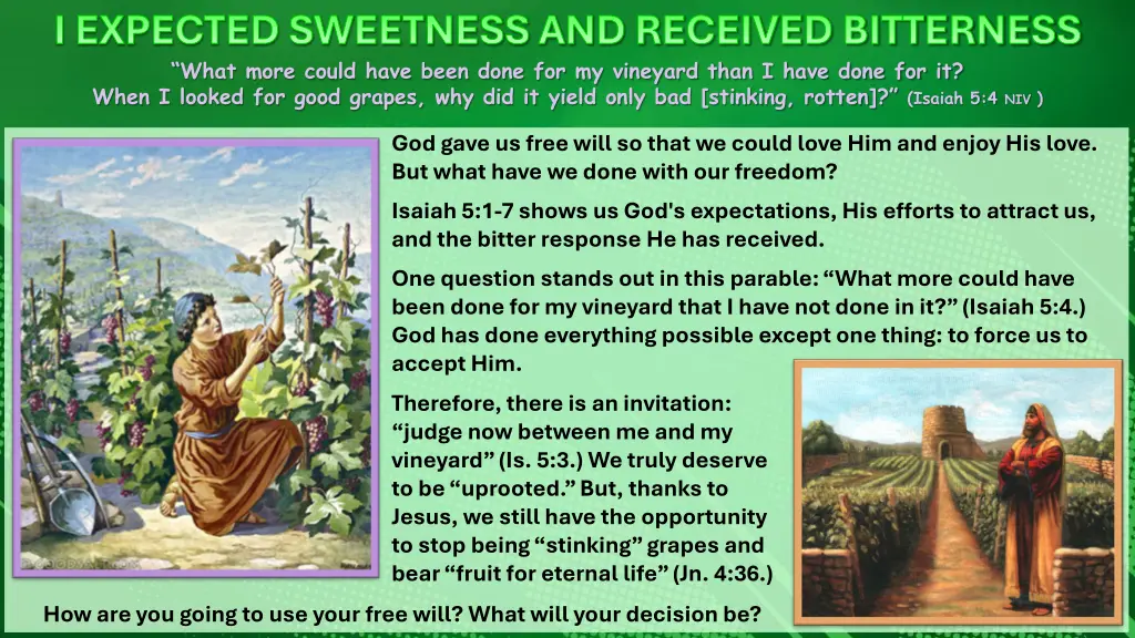 i expected sweetness and received bitterness what