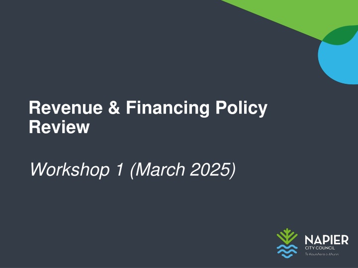 revenue financing policy review