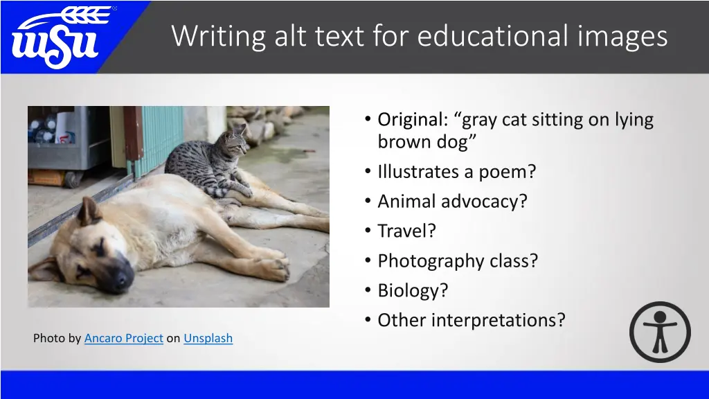 writing alt text for educational images