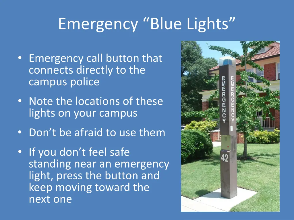 emergency blue lights