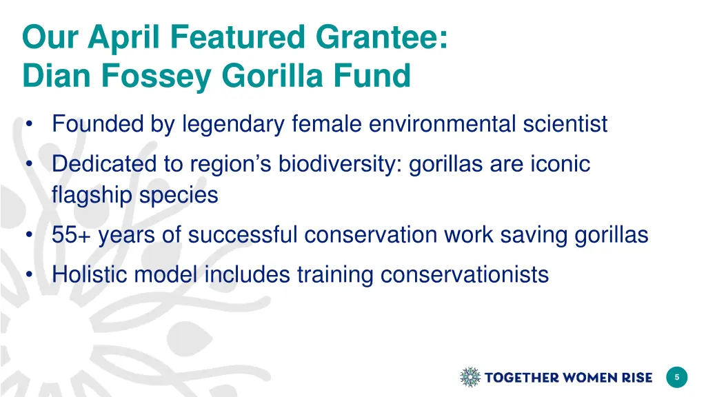 our april featured grantee dian fossey gorilla