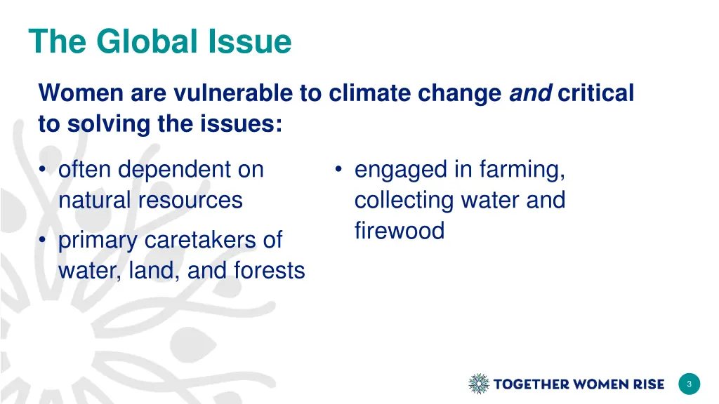 the global issue