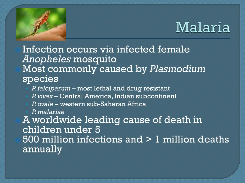 infection occurs via infected female anopheles