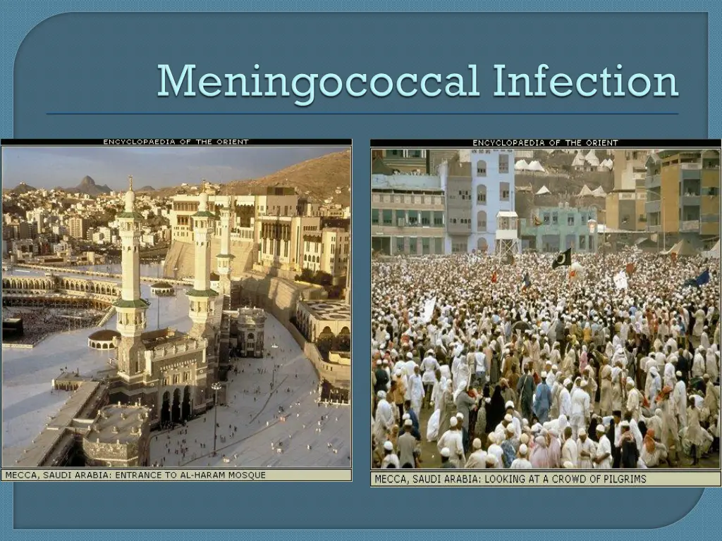 slide29