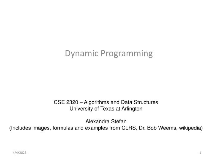 dynamic programming