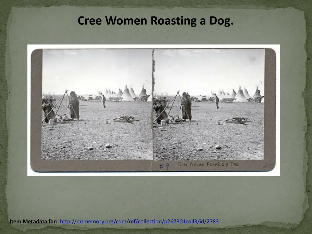 cree women roasting a dog