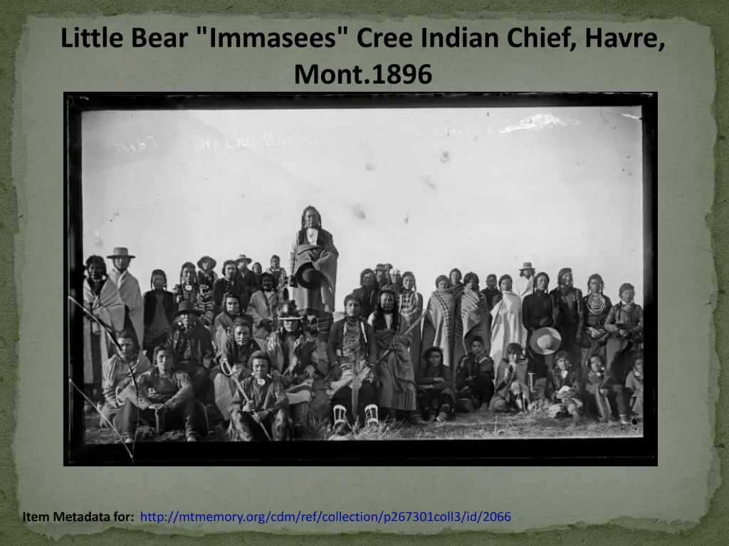 little bear immasees cree indian chief havre mont