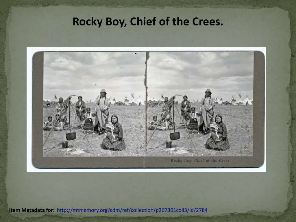 rocky boy chief of the crees