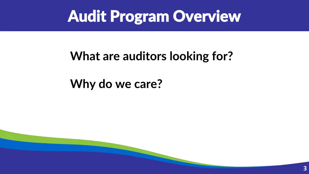 audit program overview audit program overview