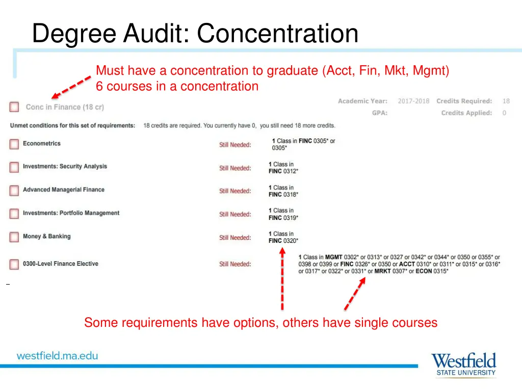 degree audit concentration