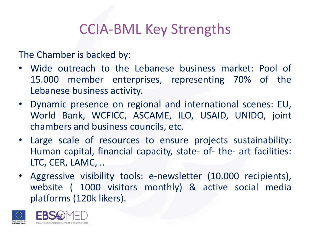 ccia bml key strengths