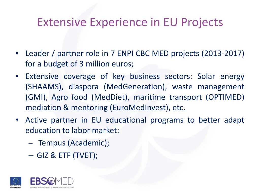 extensive experience in eu projects