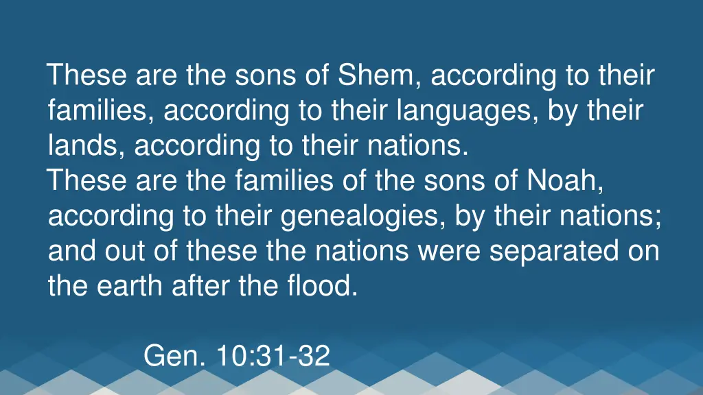 these are the sons of shem according to their
