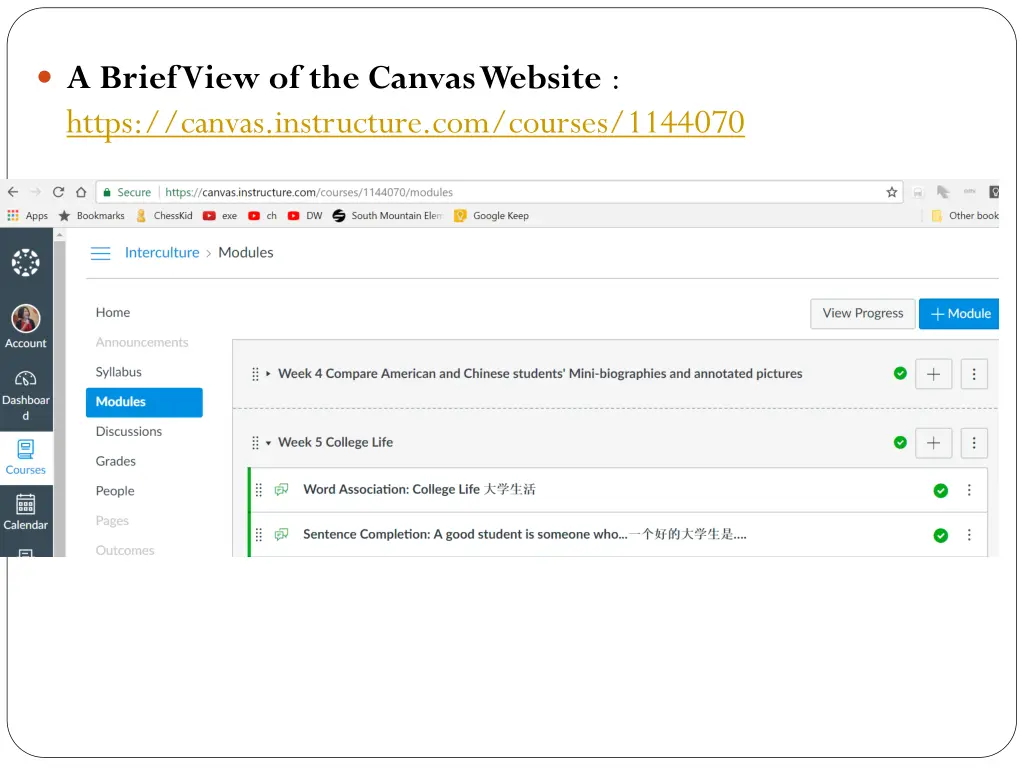 a brief view of the canvas website https canvas
