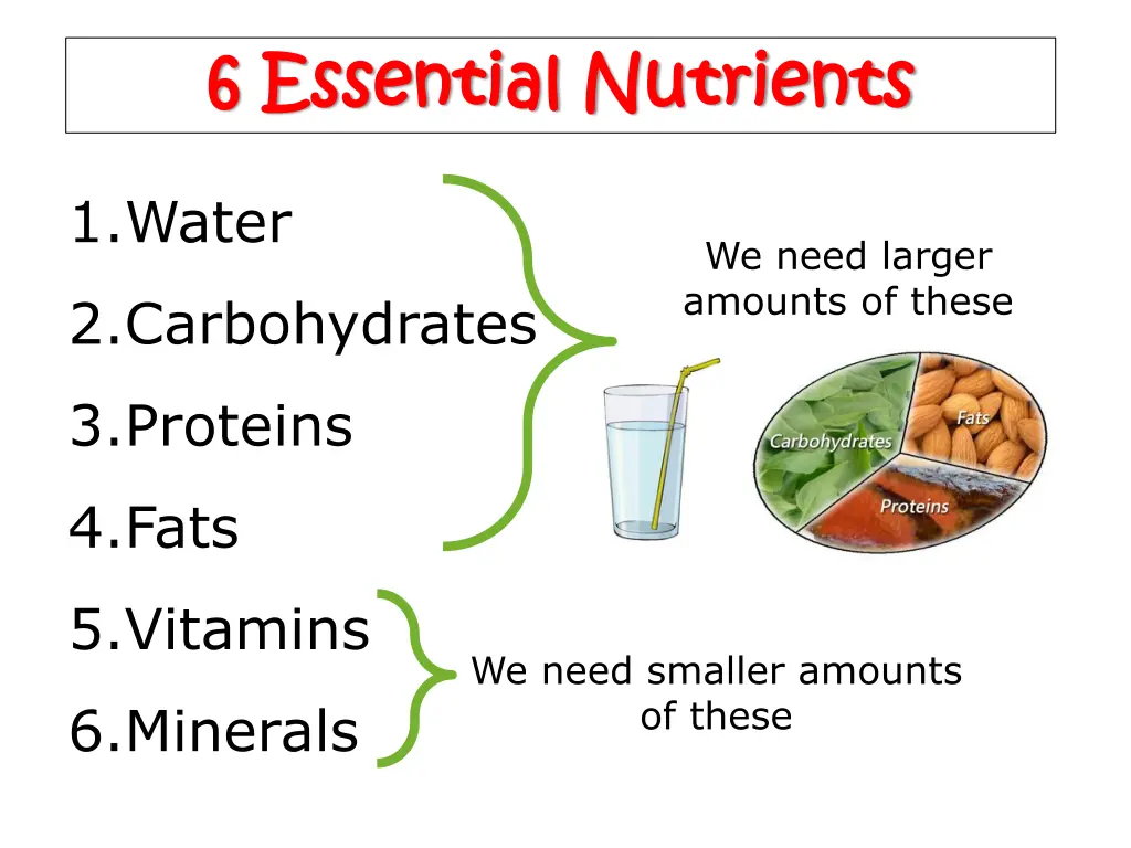 6 essential nutrients 6 essential nutrients