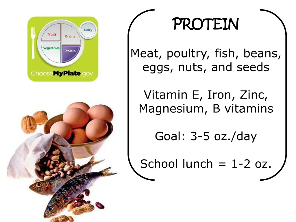 protein protein