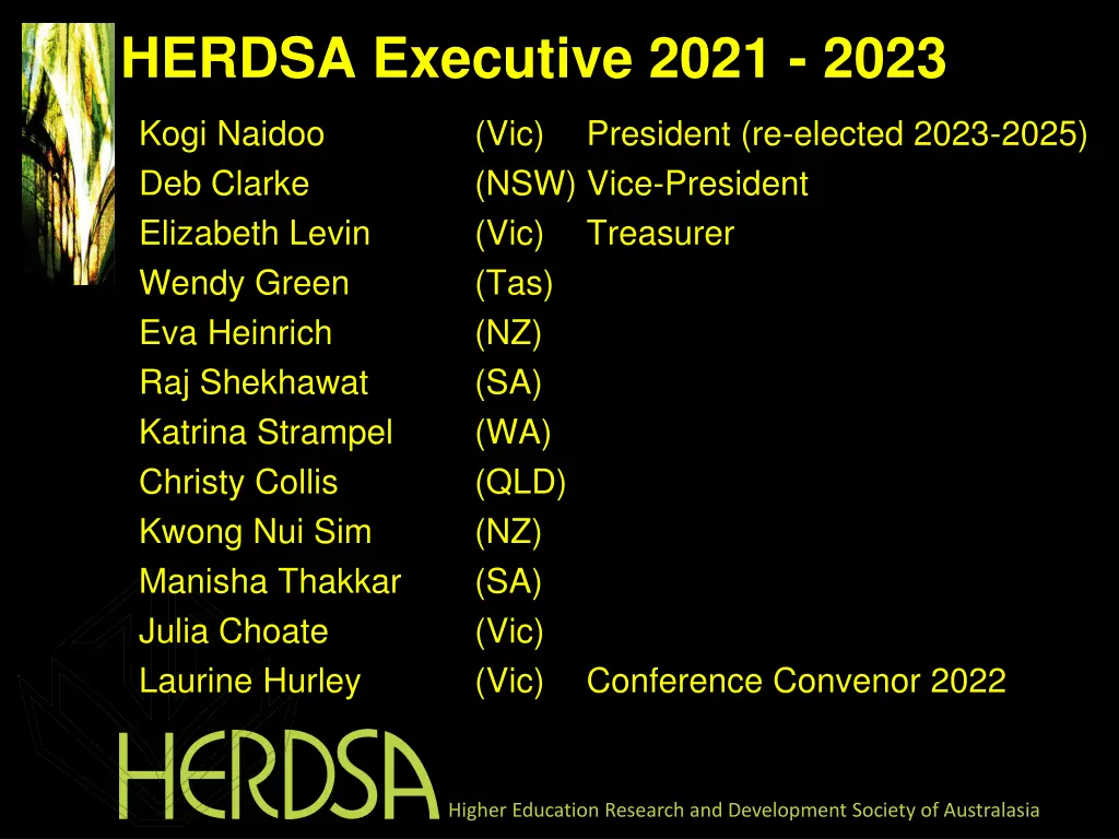 herdsa executive 2021 2023
