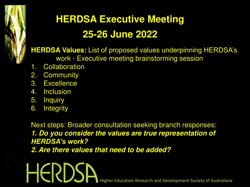 herdsa executive meeting 25 26 june 2022 2