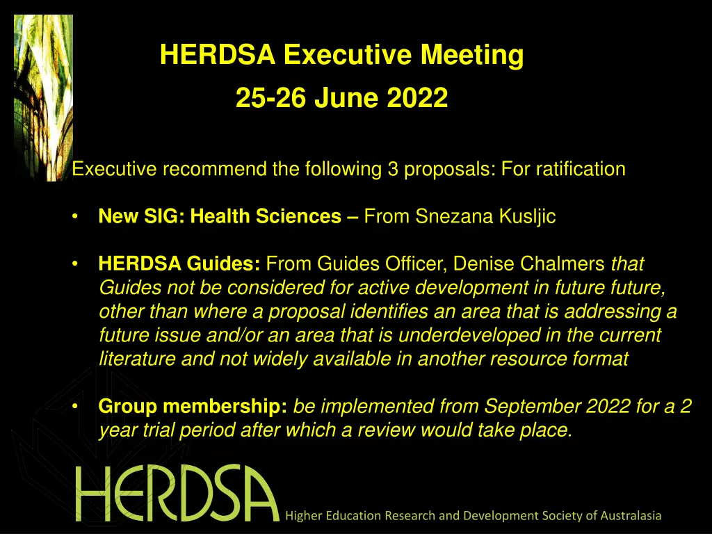 herdsa executive meeting 25 26 june 2022