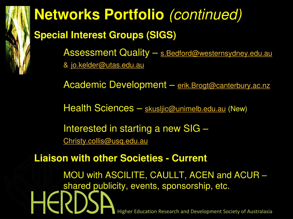 networks portfolio continued special interest