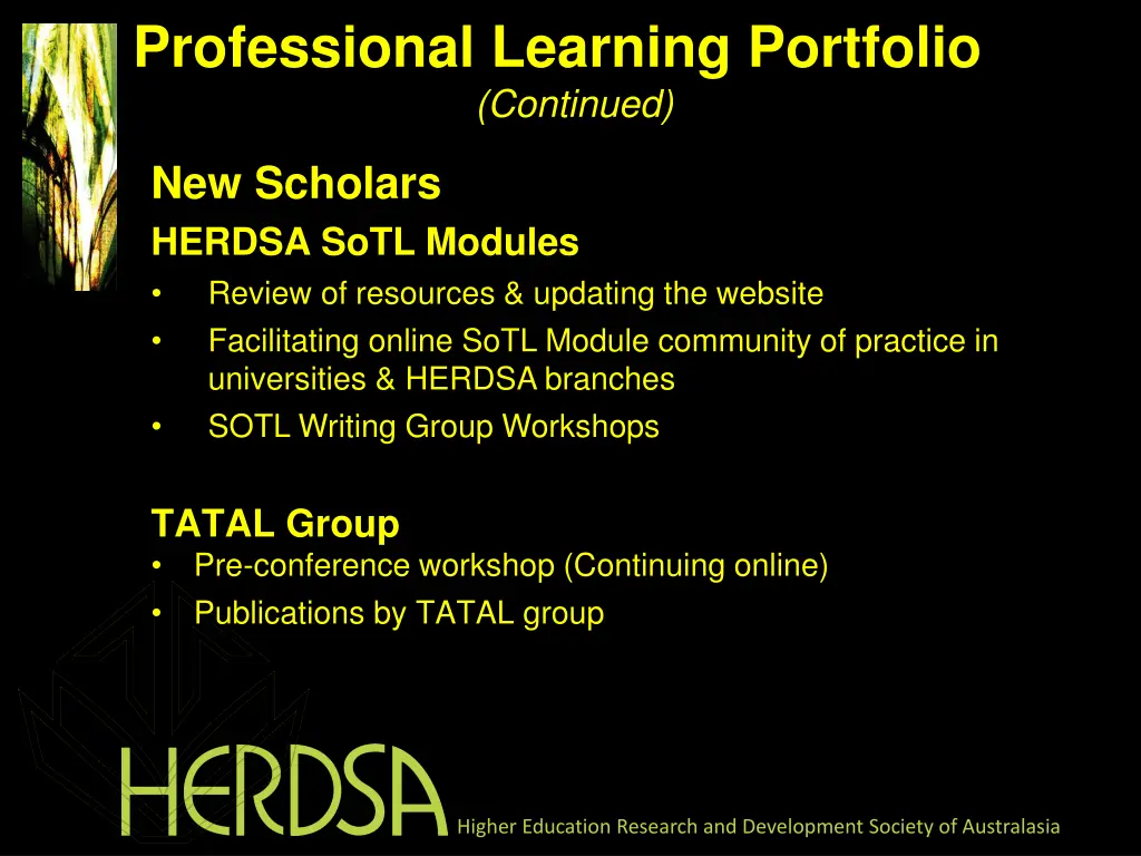 professional learning portfolio continued