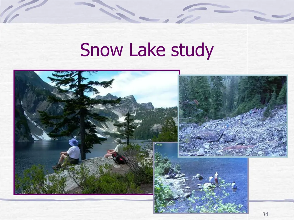 snow lake study