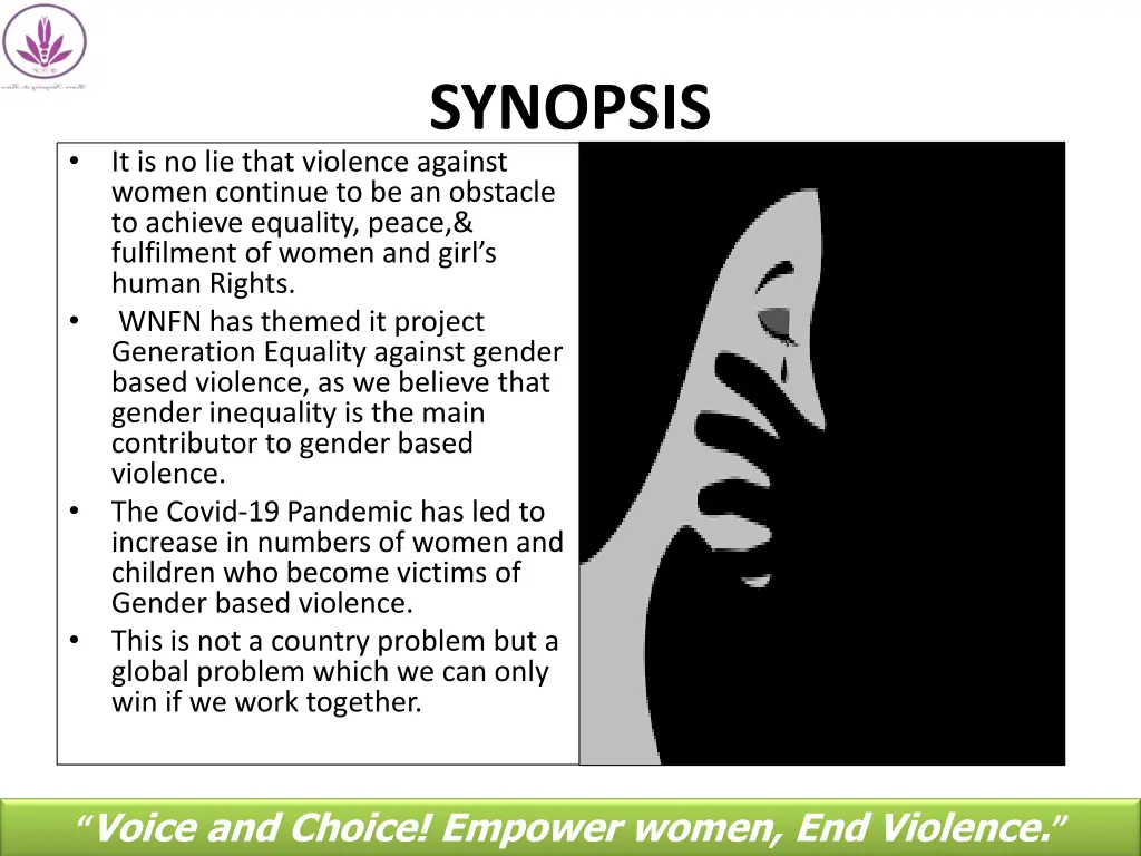 synopsis
