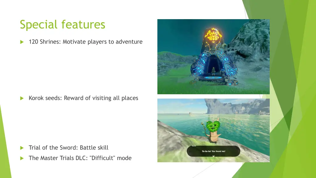 special features