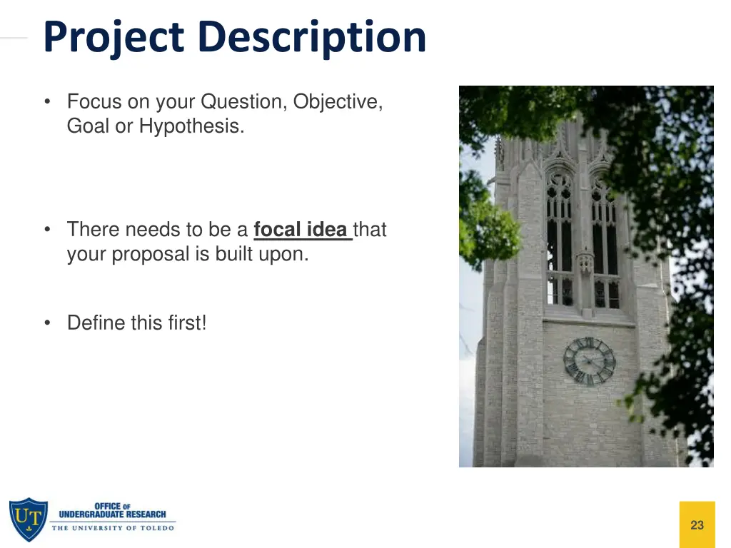 project description 1