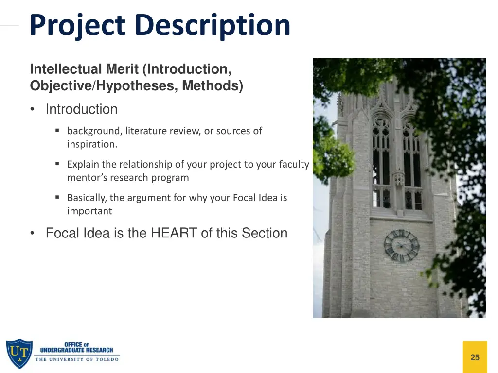 project description 3