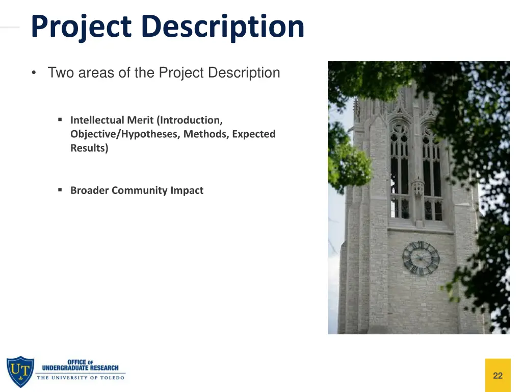 project description