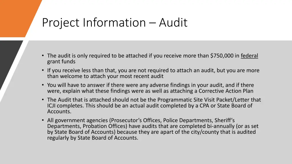 project information audit
