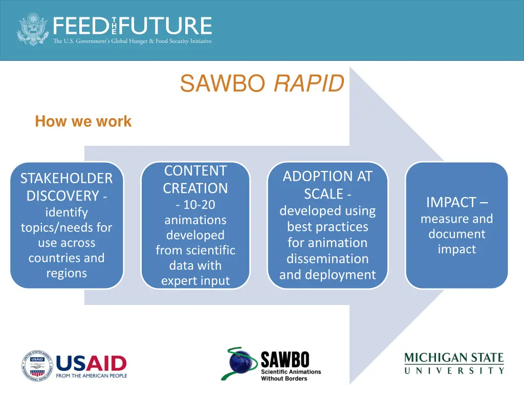 sawbo rapid 1