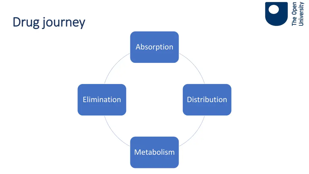 drug journey drug journey