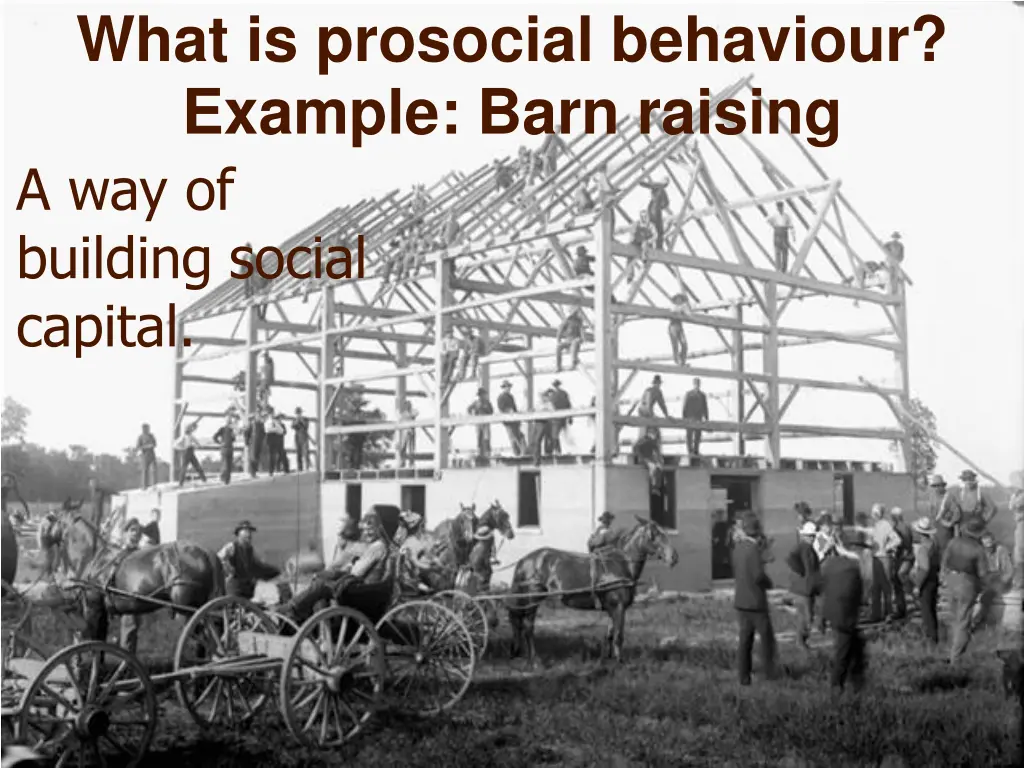 what is prosocial behaviour example barn raising