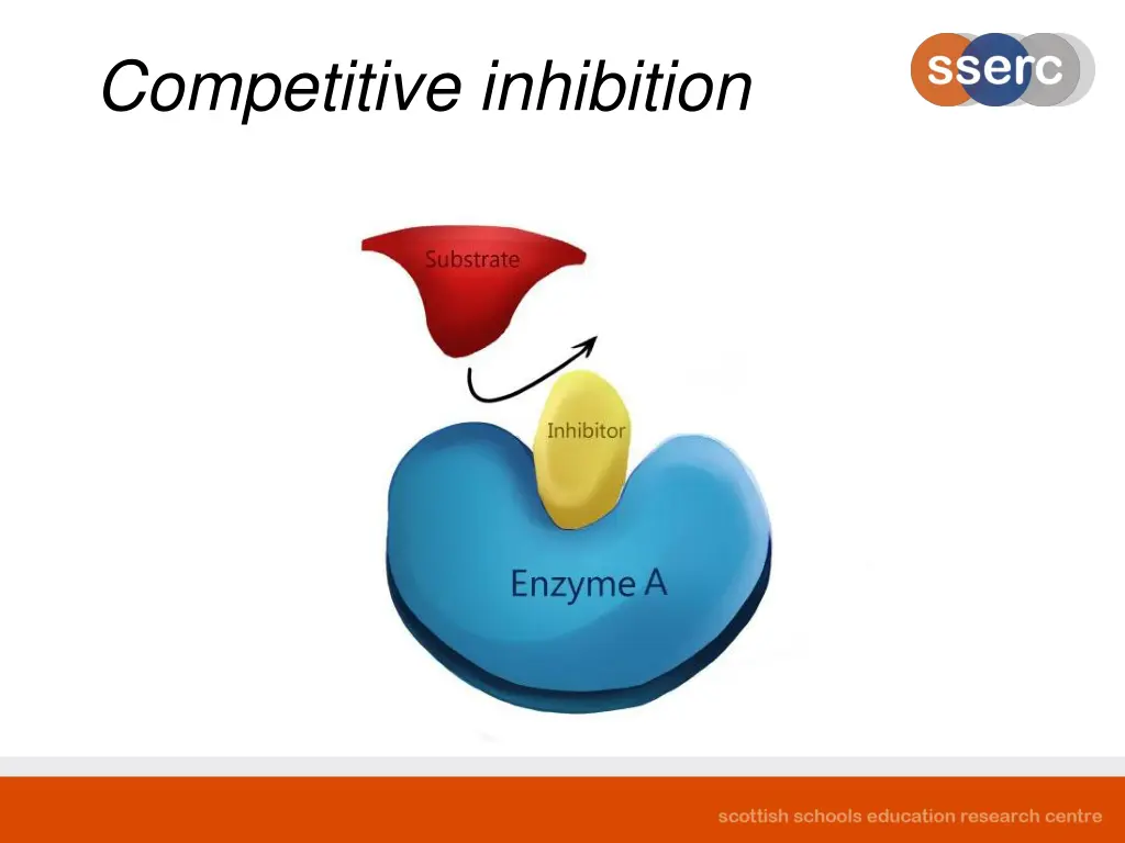 competitive inhibition