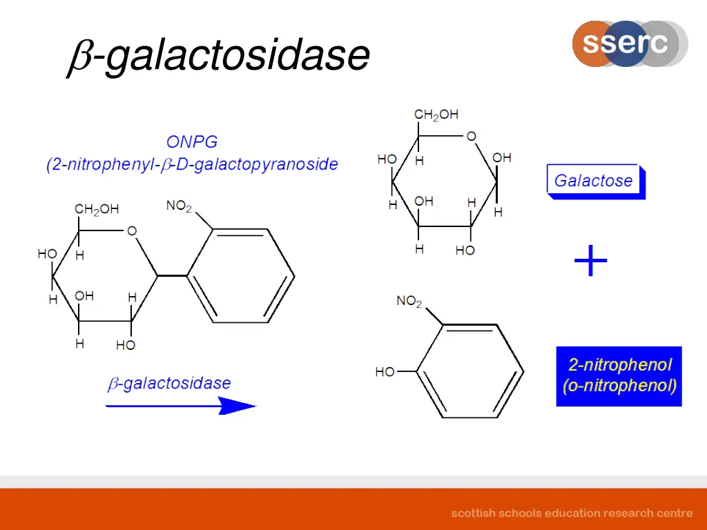 galactosidase 1
