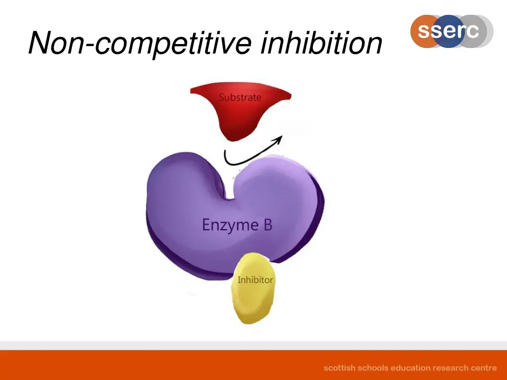 non competitive inhibition